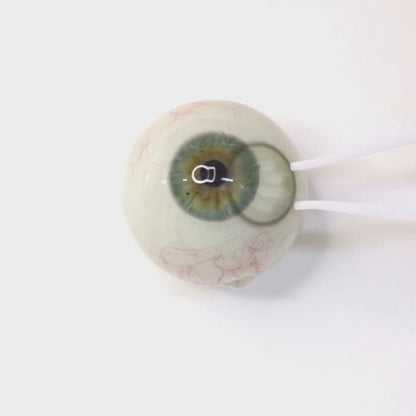 乱視用 ミントソーダ・Mint Soda     ｜ M1893