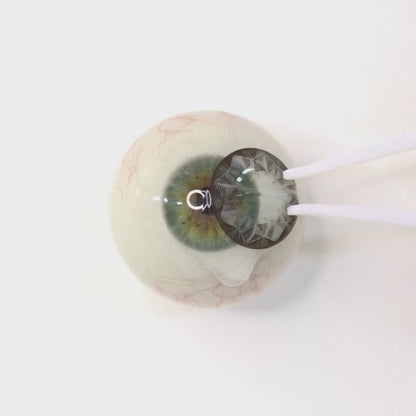 遠視用 サファイアロイヤルグレー ・Sapphire Royal Gray｜ F429