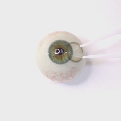 乱視用 ヌーディーベージュ ・Nudy Beige   ｜ M1795