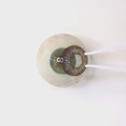 乱視用 クリスタルヘーゼル・Crystal Hazel   ｜M1285