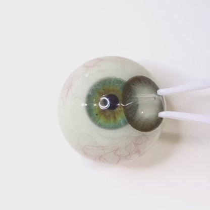 遠視用 ピュアヴェール ブラウン・Pure Vail Gray｜ F289