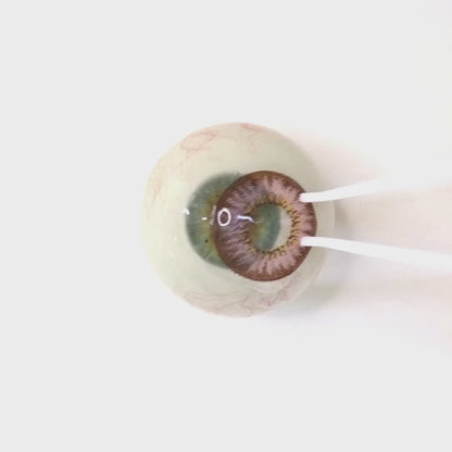 乱視用 サンセットコーラル・Sunset Coral     ｜M1286