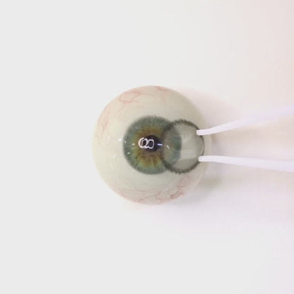 乱視用 クリスタルスノー・ Crystal Snow ｜ M1663