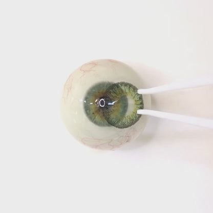 乱視用 ピスタチオタルト・Pistachio Tart        ｜M1426