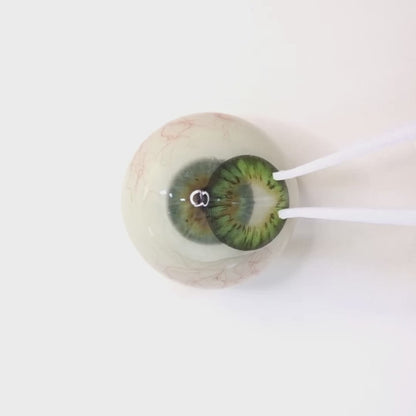 遠視用 ライムモヒート・Lime Mojito     ｜F1283