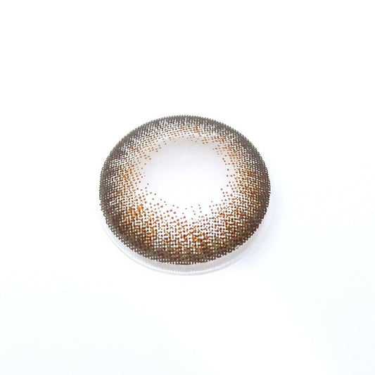 遠視用 ピュア ブラウン・Pure Brown｜ F288 - My ToricNEOVISION(N) EXTRA BROWN 원시용/288