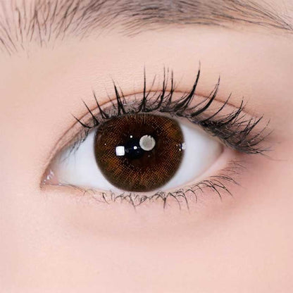 乱視用 ピュア ブラウン・Pure Brown｜ M288 - Japan colored contactsNEOVISION(N) EXTRA BROWN 난시/288