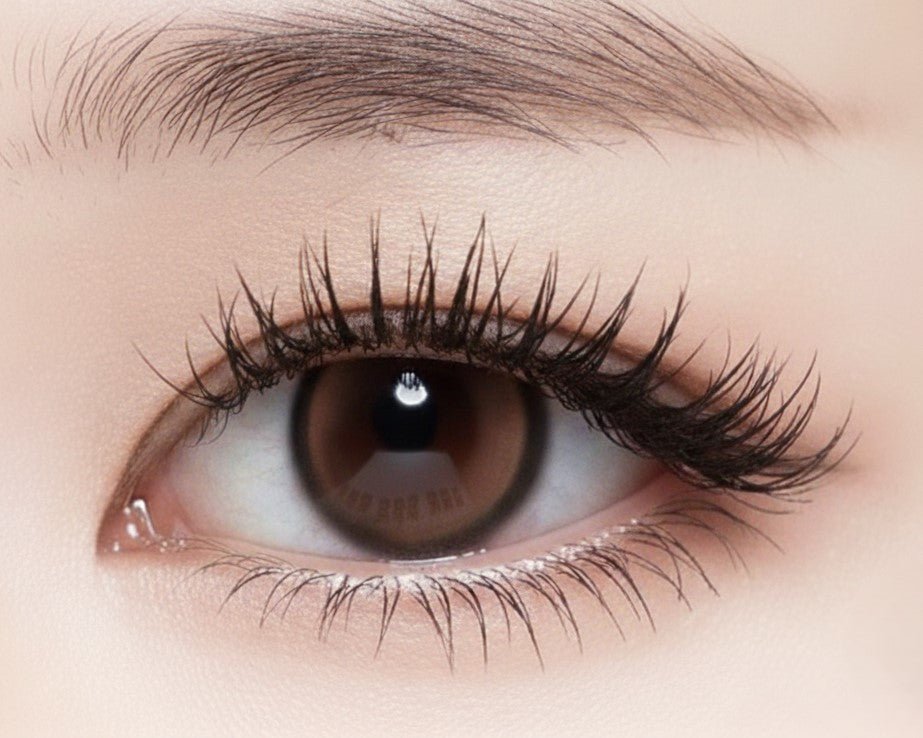 乱視用 サクラムース・Sakura Mousse ｜ M1892 - My ToricDILEN (N)  F045  Choco toric / 1892