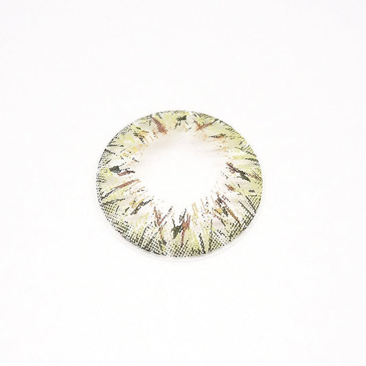 乱視用 スパークルレモン・Sparkle Lemon ｜M1288 - My ToricBS(N) / VILLEA Brown toric /1288