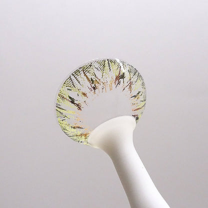 乱視用 スパークルレモン・Sparkle Lemon ｜M1288 - My ToricBS(N) / VILLEA Brown toric /1288