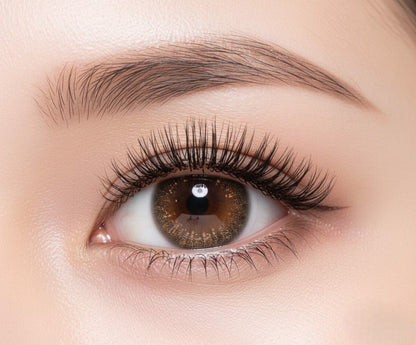 乱視用 サニーデイジー ・Sunny Daisy ｜ M1905 - My ToricDILEN (N)  D147P  Gold toric / 1905