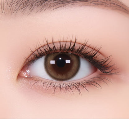 乱視用 サニータルト ・Sunny Tart ｜ M1727 - My ToricDILEN (N) C098 Brown Toric /1727