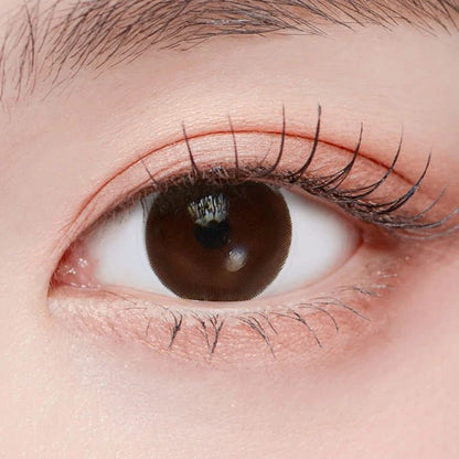 乱視用ウォームモカ ・Warm Mocha｜M536 - Japan colored contactsNEOVISION(N) /Toric Dali Brown /536